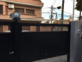 /album/instalaciones-reales-de-kit-motor-para-porton-corredizo/kit-automatizacion-de-portones-corredizos-jpg2/