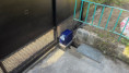 /album/portones-automaticos/motor-para-porton-corredizo-pioca-jpeg/